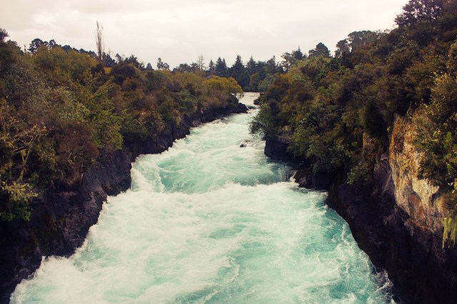 NZ North Island 9